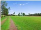 Wyee NSW 2259