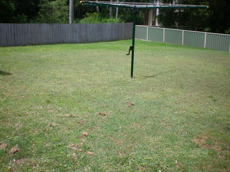 55 Reynolds Road, Noraville NSW 2263