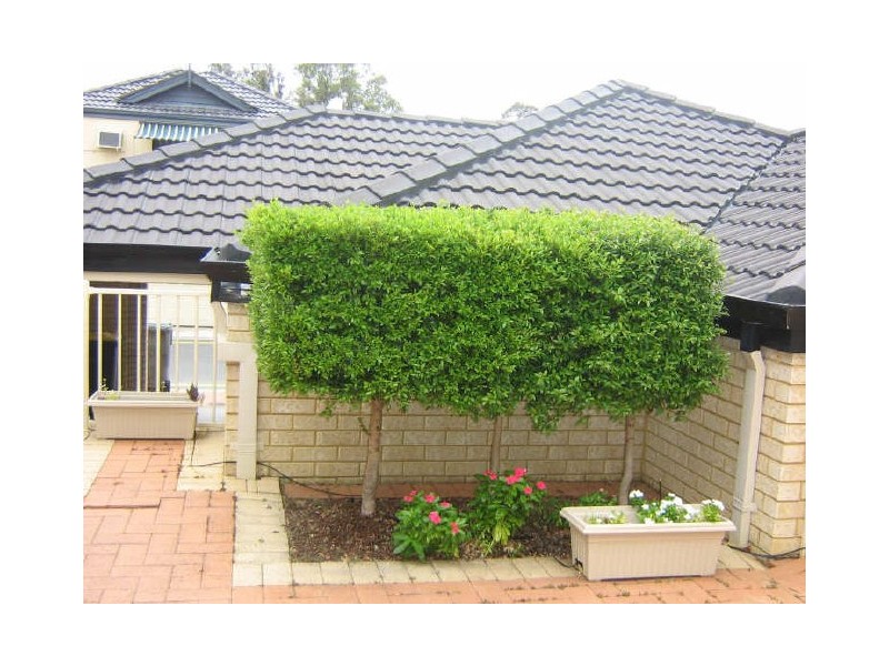 79 St Pauls Crescent, Joondalup WA 6027