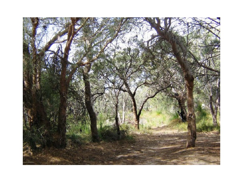 28 Honeysuckle Grove, Carramar WA 6031