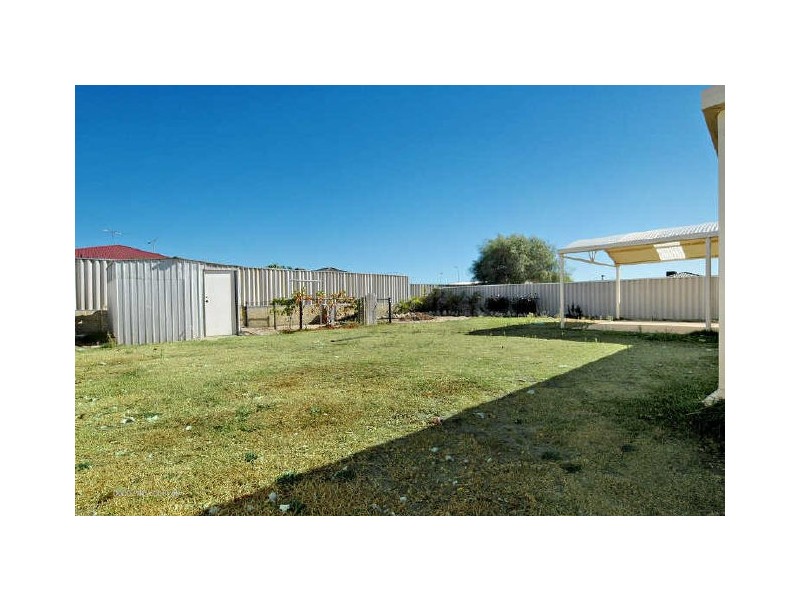 11 Cassia Link, Banksia Grove WA 6031