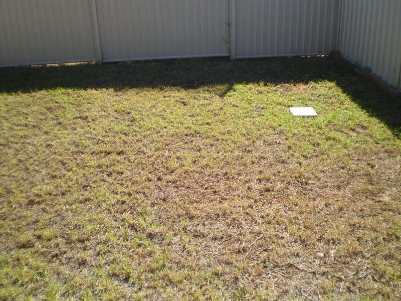 25A Banks Street, Tamworth NSW 2340