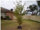 Tamworth NSW 2340