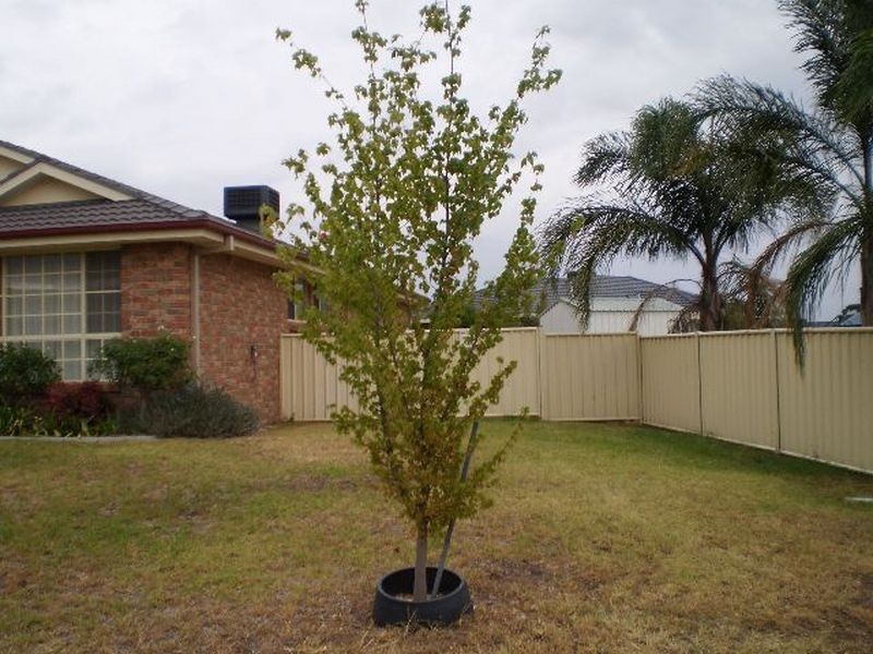 Tamworth NSW 2340