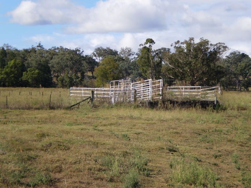 Tintinhull NSW 2352