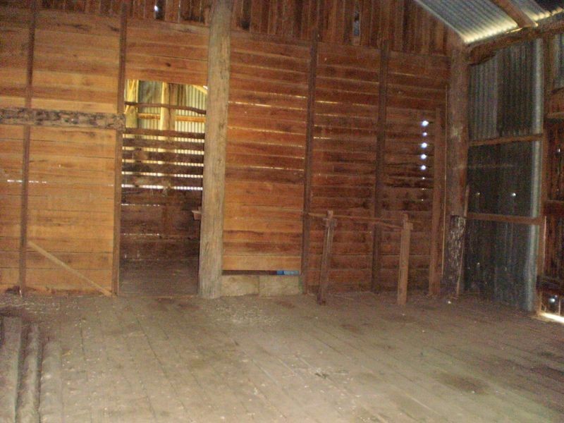 Tintinhull NSW 2352