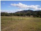 Tintinhull NSW 2352