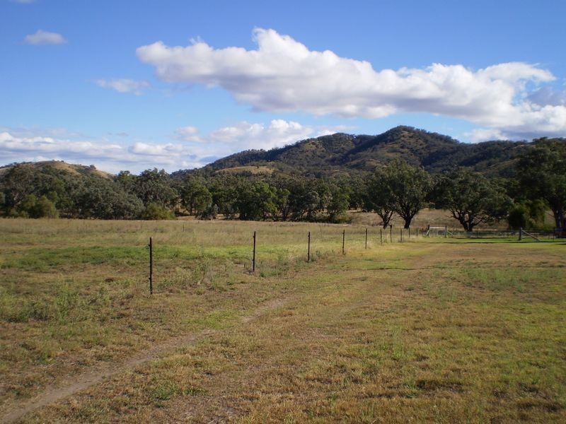 Tintinhull NSW 2352