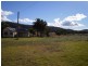 Tintinhull NSW 2352