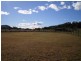 Tintinhull NSW 2352