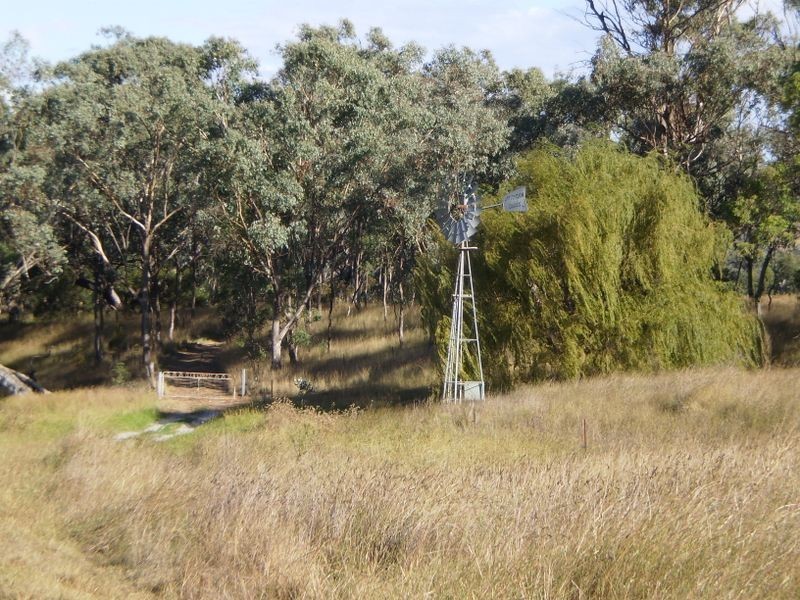Tintinhull NSW 2352