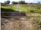 Tintinhull NSW 2352