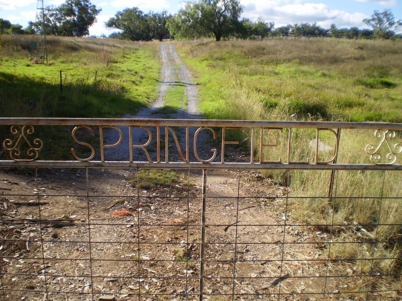 Tintinhull NSW 2352