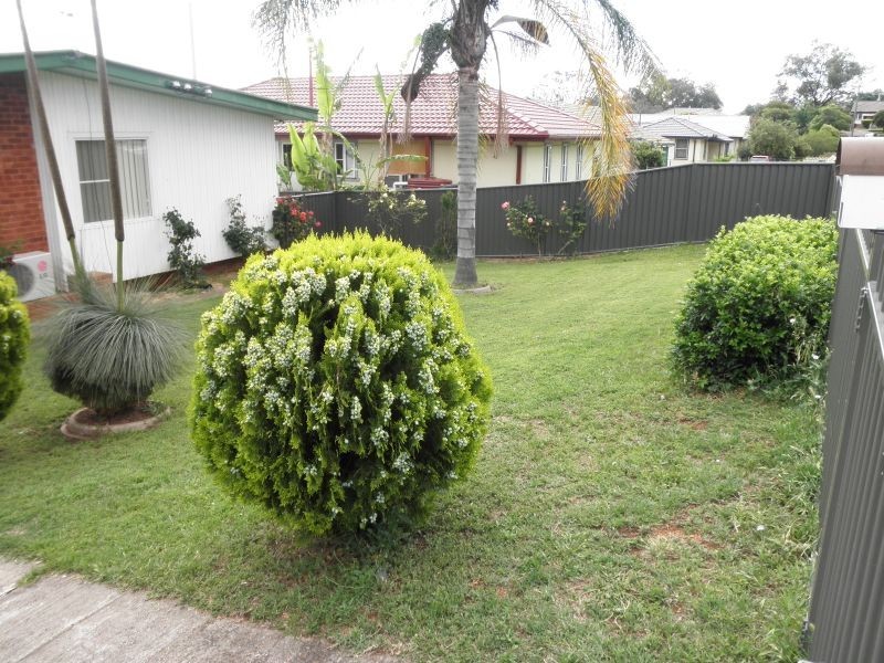 21 Drummond Road, Oxley Vale NSW 2340