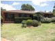 44 Tribe Street, Tamworth NSW 2340