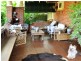93 Carthage Street, Tamworth NSW 2340