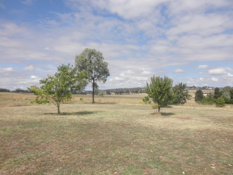 167 Browns Lane, Tamworth NSW 2340