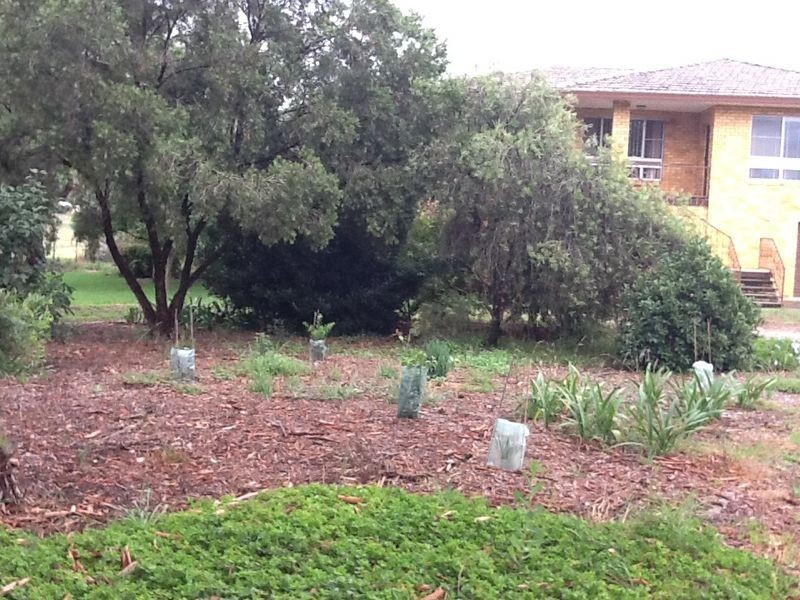 185 Tintinhull Road, Appleby NSW 2340