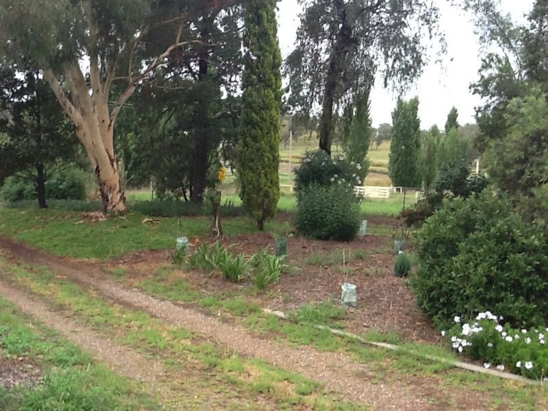 185 Tintinhull Road, Appleby NSW 2340