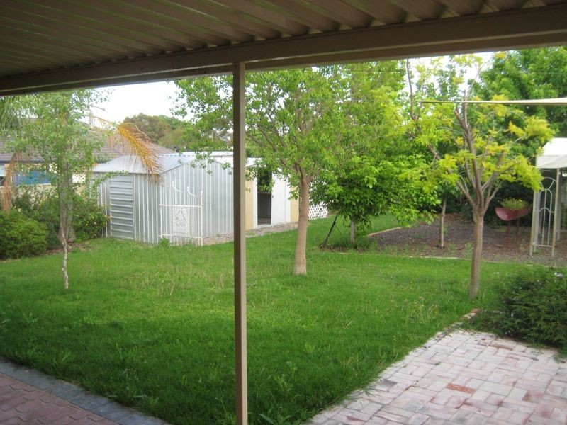 11 Minimbah Court, Hillvue NSW 2340