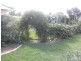Calala NSW 2340