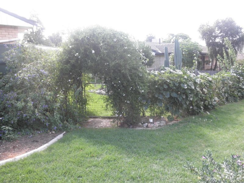 Calala NSW 2340