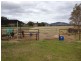 278 Sandy Road, Kootingal NSW 2352