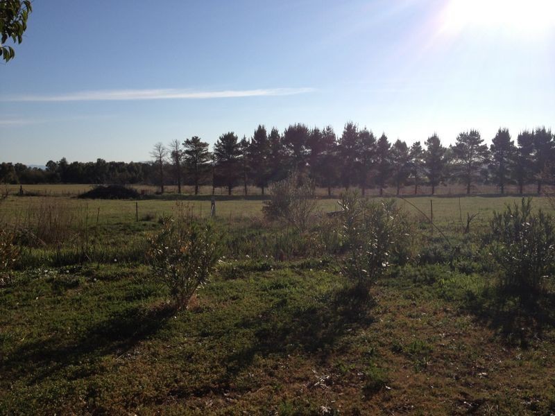 1077 Manilla Road, Hallsville NSW 2340