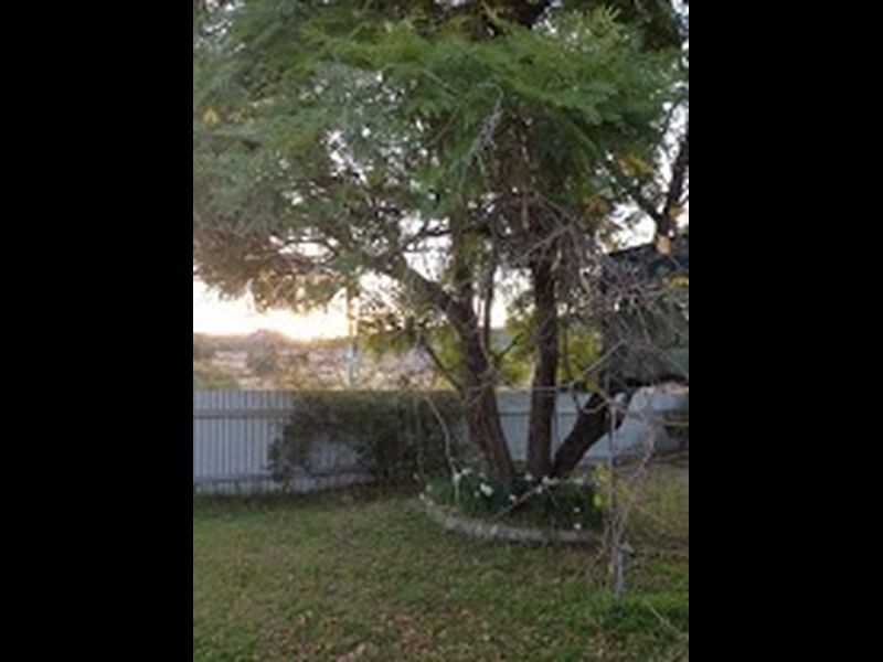 183 Yarrol Rd Kootingal, Tamworth NSW 2340