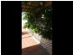 167 Browns Lane, Tamworth NSW 2340
