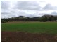 536 Tintinhull rd, Tamworth NSW 2340