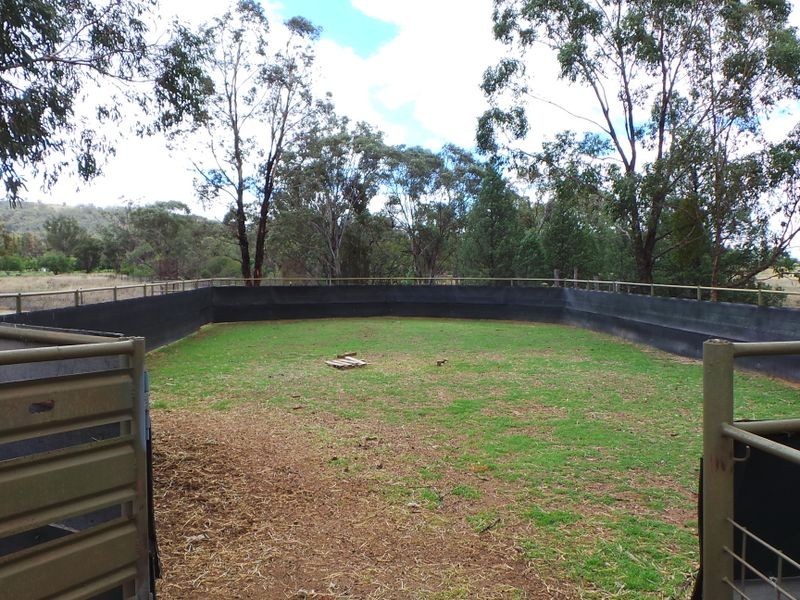 536 Tintinhull rd, Tamworth NSW 2340