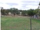 536 Tintinhull rd, Tamworth NSW 2340
