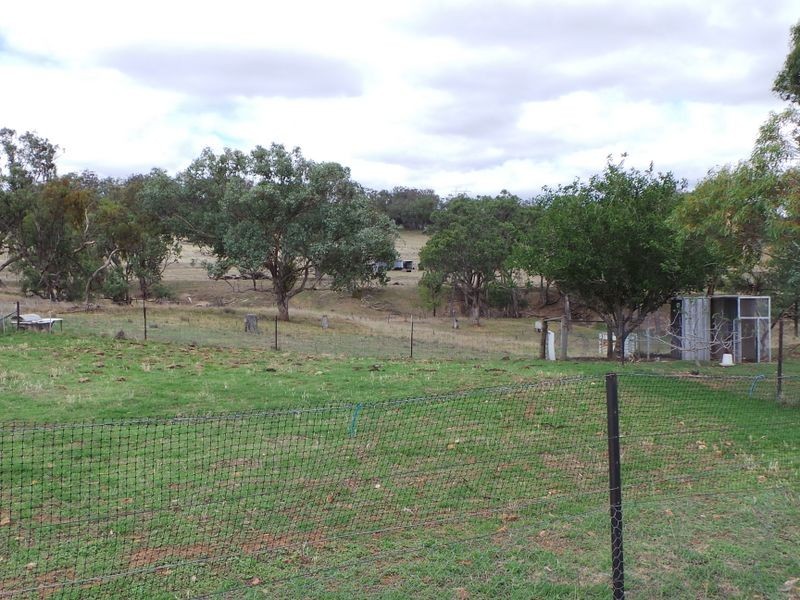 536 Tintinhull rd, Tamworth NSW 2340
