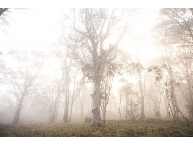 Lot 11 Morrison’s Gap Road, Nundle NSW 2340