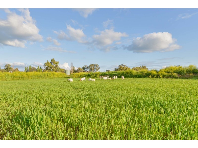 Lot 10/21 Impala Estate Road, Tamworth NSW 2340