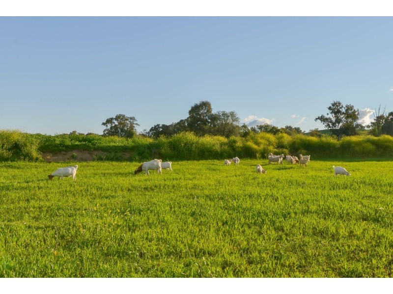 Lot 10/21 Impala Estate Road, Tamworth NSW 2340