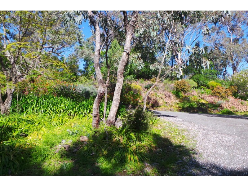 27 Mornington Crescent, Tamworth NSW 2340