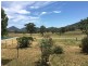 3473 Werris Creek Road, Currabubula NSW 2342