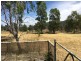 3473 Werris Creek Road, Currabubula NSW 2342