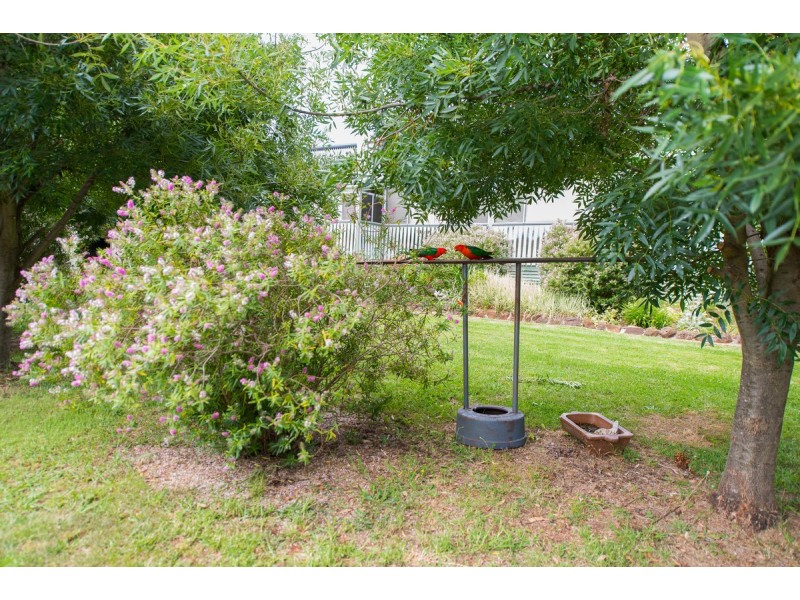 825 Barry Road, Hanging Rock NSW 2340