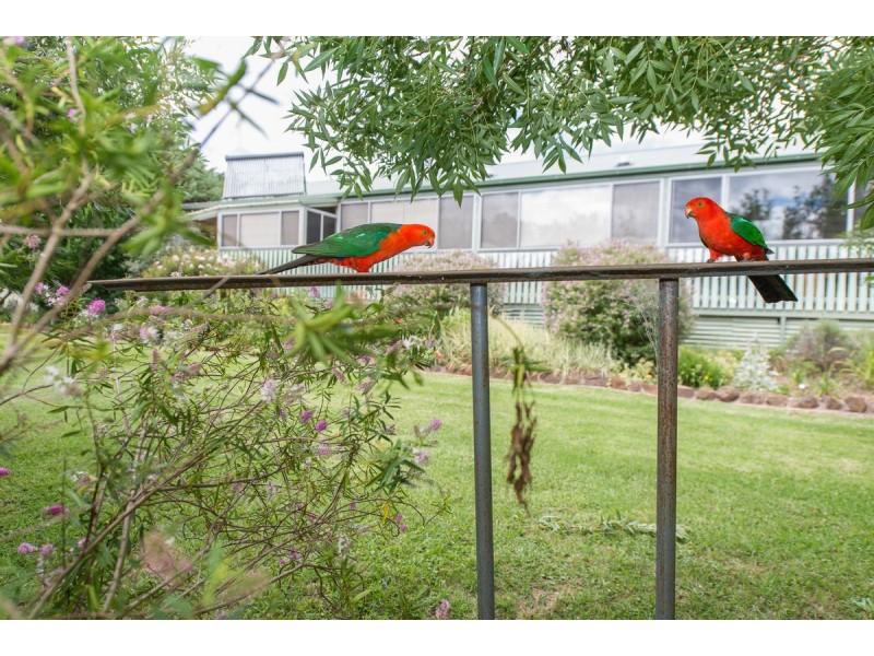 825 Barry Road, Hanging Rock NSW 2340