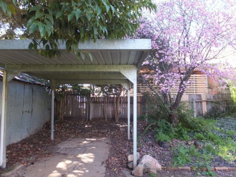 116 Carthage Street, Tamworth NSW 2340