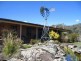 Kootingal NSW 2352