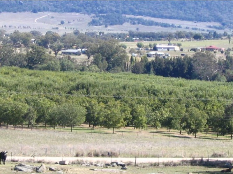 Kootingal NSW 2352
