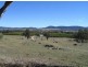 Kootingal NSW 2352