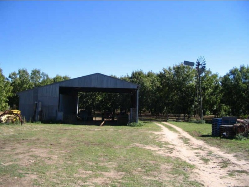 Kootingal NSW 2352