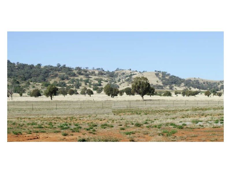 Tamworth NSW 2340