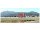 Tamworth NSW 2340
