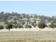 Tamworth NSW 2340